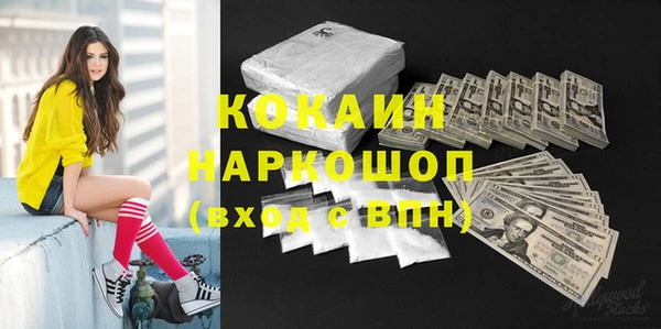 бошки Алексин