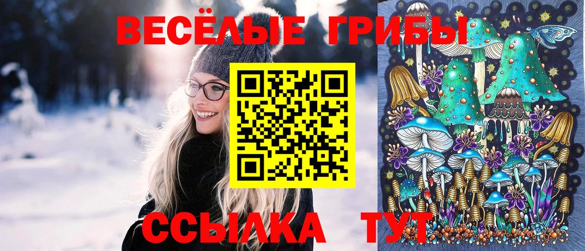 Галлюциногенные грибы Psilocybine cubensis  Вход с VPN  Новоалександровск 